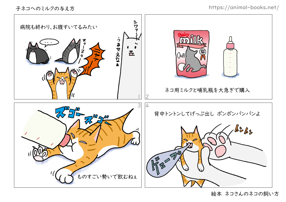 子ネコへのミルクの与え方｜ネコの育て方絵本05