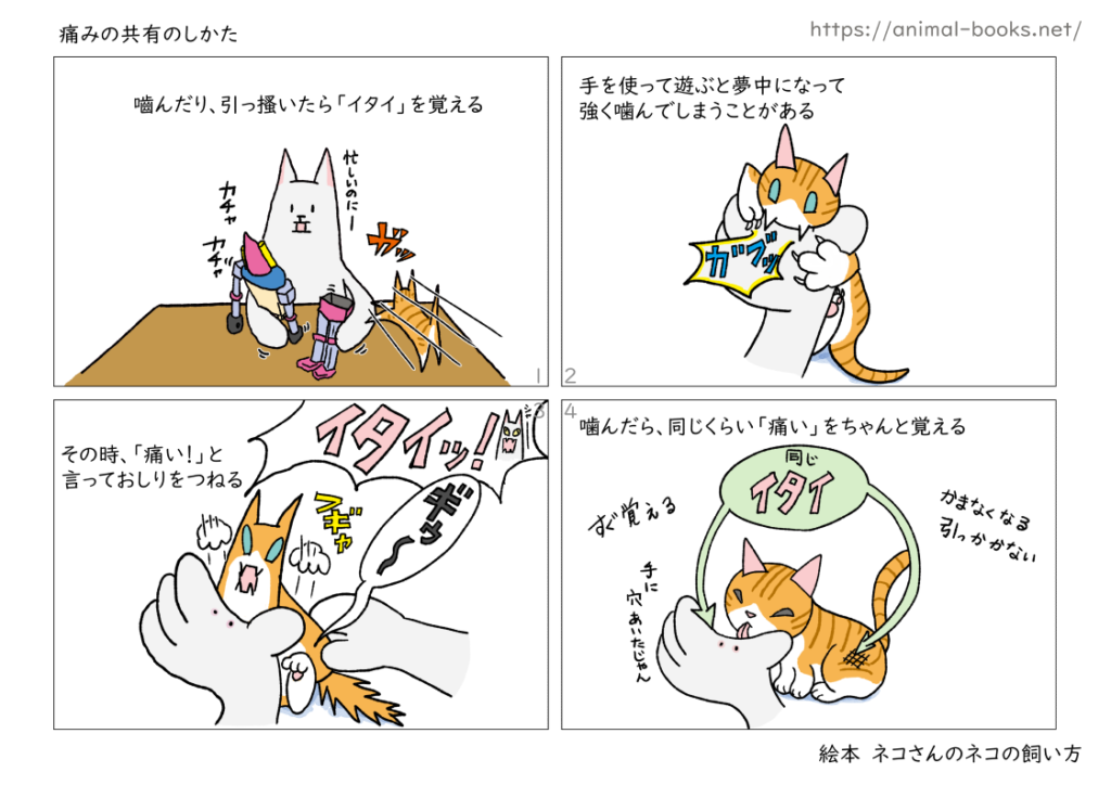 ネコに噛まないようにトレーニングする方法