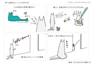 ネコを呼べば来るトレーニングの仕方
