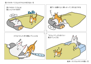 指しゃぶりが癖になっているハチワレ茶トラネコのお話