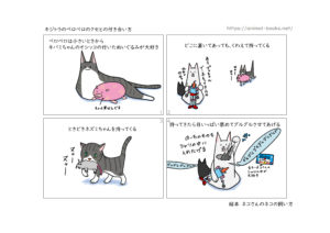 ハチワレキジトラのペロペロちゃんはぬいぐるみを運ぶのがクセ