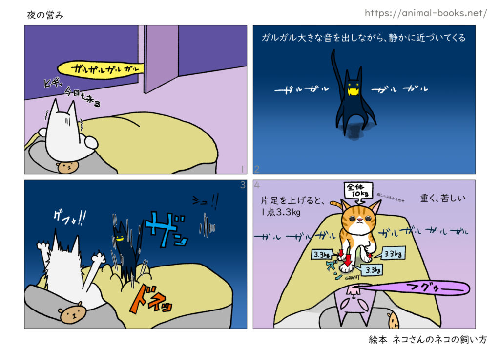 ネコの飼い方　ネコに襲われる夜