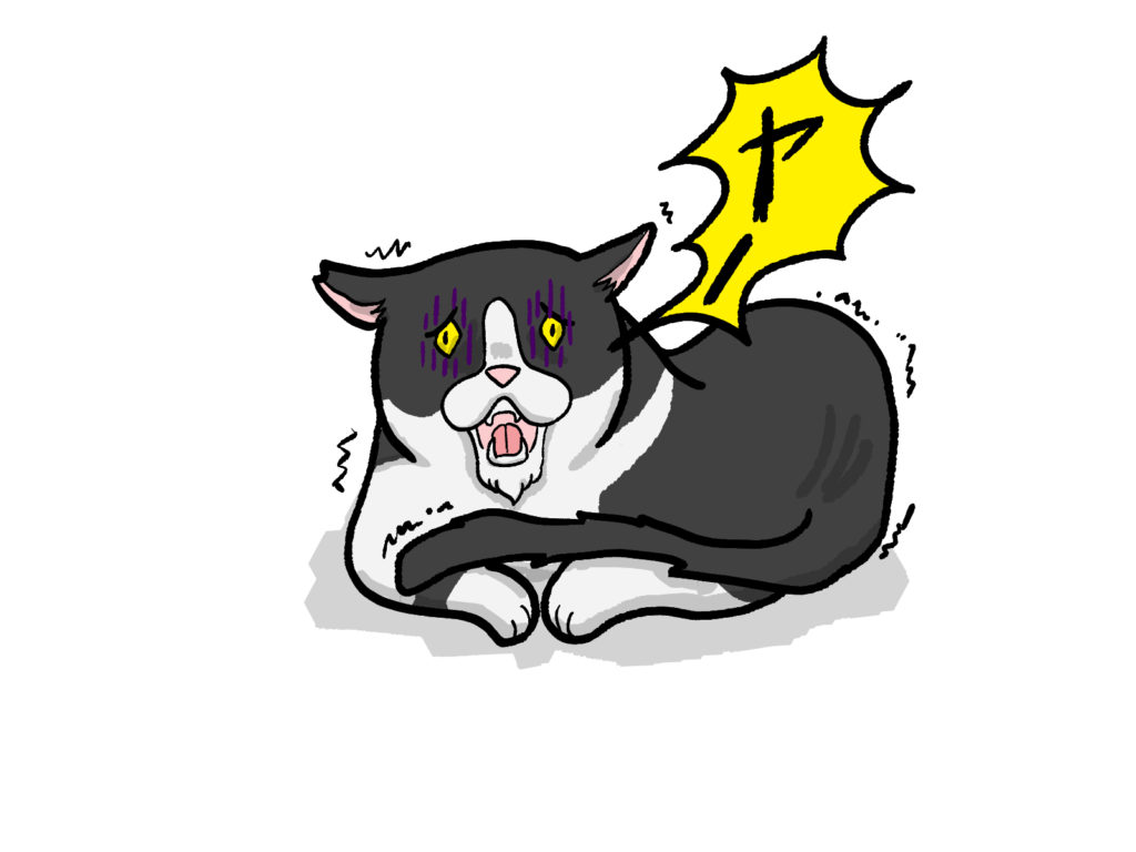 呼ばれて嫌すぎて大きな声で鳴くネコ