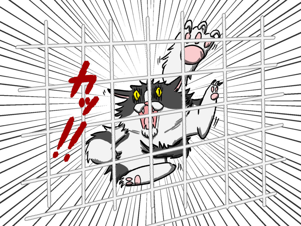 小屋の中から威嚇するモウフモッテ