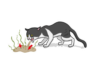 線虫付きのゲロを吐いたネコ