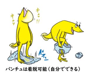 ドクガエルのビッケ