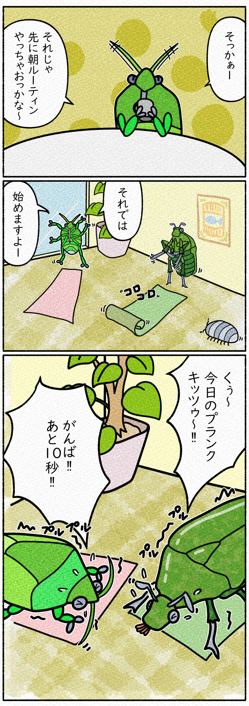 カナブンとカメムシは朝ルーティンのプランクタイム