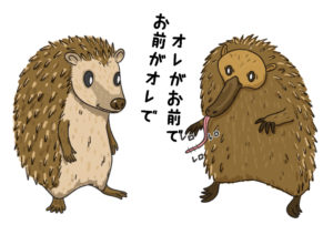 ハリネズミとハリモグラの違い